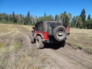 monica_on_the_trail