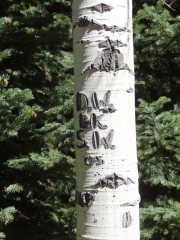 more_vandalism