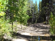 mud_and_bumps