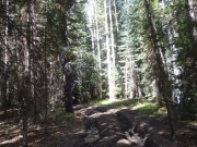 old_tracks