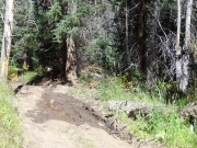 sloppy_mud