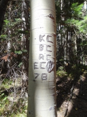 vandals_from_years_ago