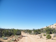 desert