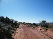 dirt_track