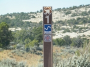 pointing_to_comb_ridge