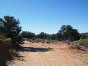 start_of_the_trail
