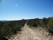 trail_ahead