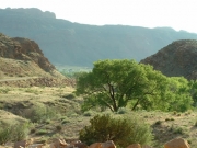 view_from_the_hill