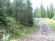 early_trail