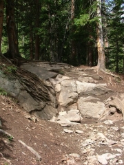 side_obstacle