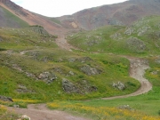 trail_in_the_meadow