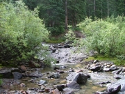 uncompahgre_river