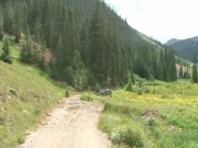 mellow_trail