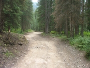 start_of_the_trail