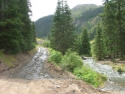 trail_next_to_the_river
