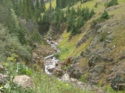 uncompahgre_river_part_1