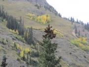 fall_colors