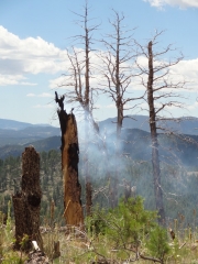 fire_part_1