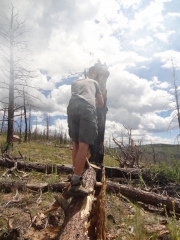 fire_part_8