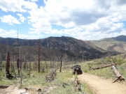jeeps_on_the_trail
