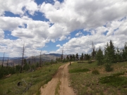 little-used_trail