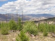mountain_view