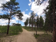 start_of_the_trail