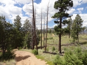 trail_ahead