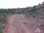 rocky_trail_near_the_end