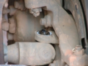eric_trail_damage_part_2