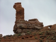 llama_rock