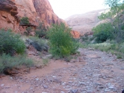 low_trail