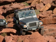 matt_flexy