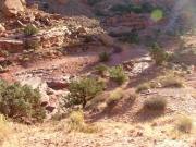 trail_in_a_ravine