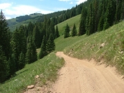 down_the_mountain