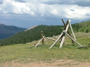 fencing