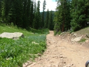 rocky_trail