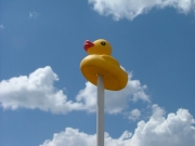 rubber_ducky