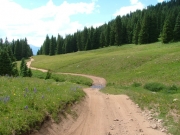 water_crossing_1_part_1