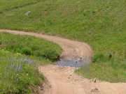 water_crossing_1_part_2