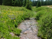 water_crossing_1_part_3
