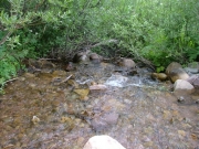 water_crossing_3_part_2