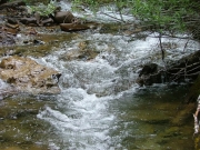 water_crossing_4_part_3