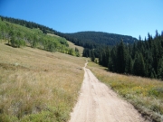 straight_and_narrow