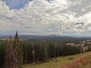 big_view
