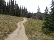 little_trail