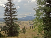 long_view