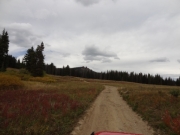meadow