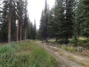 old_trail