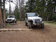 parked_at_the_top